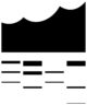 Elbphilharmonie